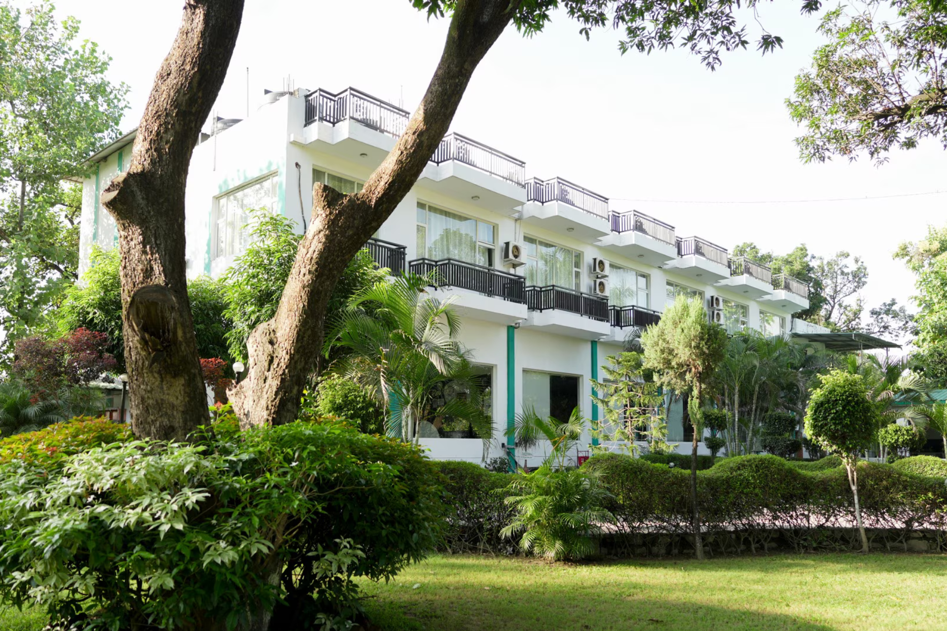 Untitled design - 2025-10-13T155806.900