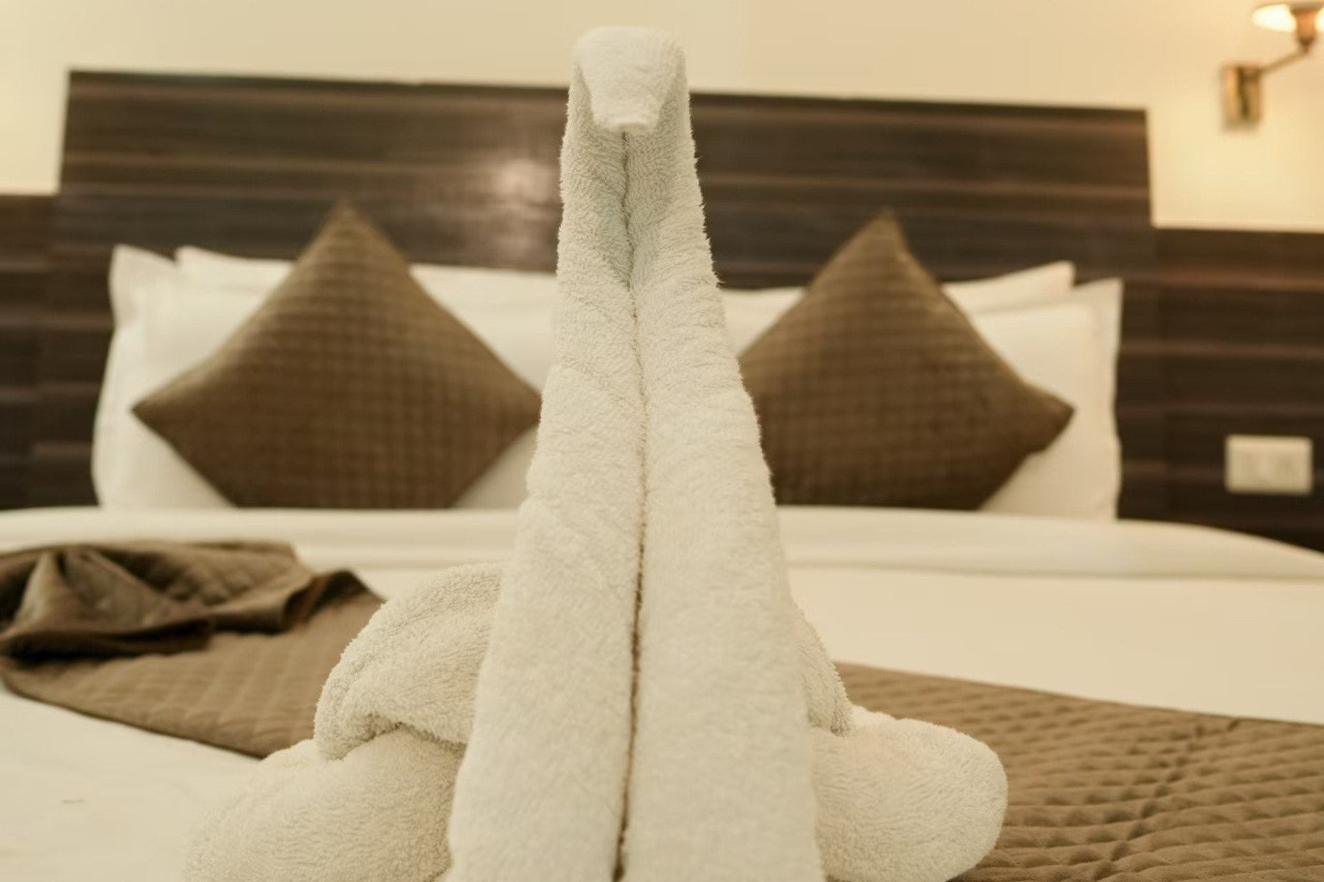 Untitled design (90)