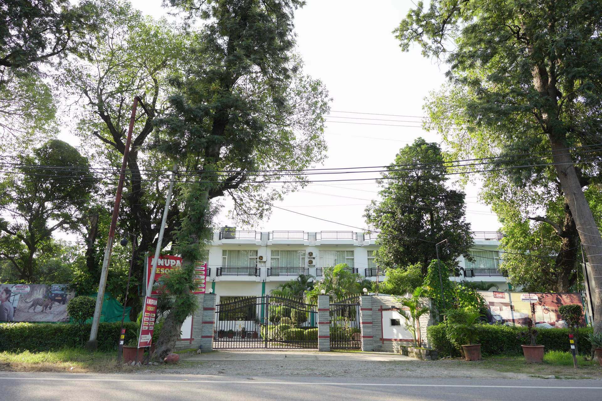 Untitled design (91)